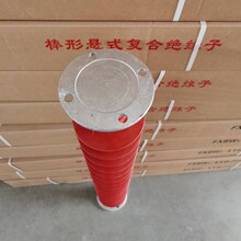 复合高压支柱绝缘子  FZSW-110/10系列，110KV复合支柱绝缘子