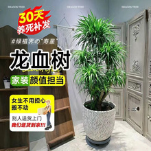 ��Ѫ�������k���҃ȴ��Ͷ��^���F��͏d��լ�Gֲ����Ϙ�����횘�