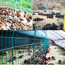 ���ϱ��؏S�Ҍ��I���a�N�� �Bֳ�W �����Bֳ�W �B�u�W