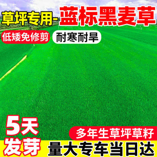 �����ݲ����ļ������ͺ�ͥԺ�G�����޼��������ı��w��ƺ��Ƥ�N��