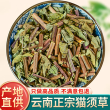 ؈횲ݲ500gҰp{IBĹЧ