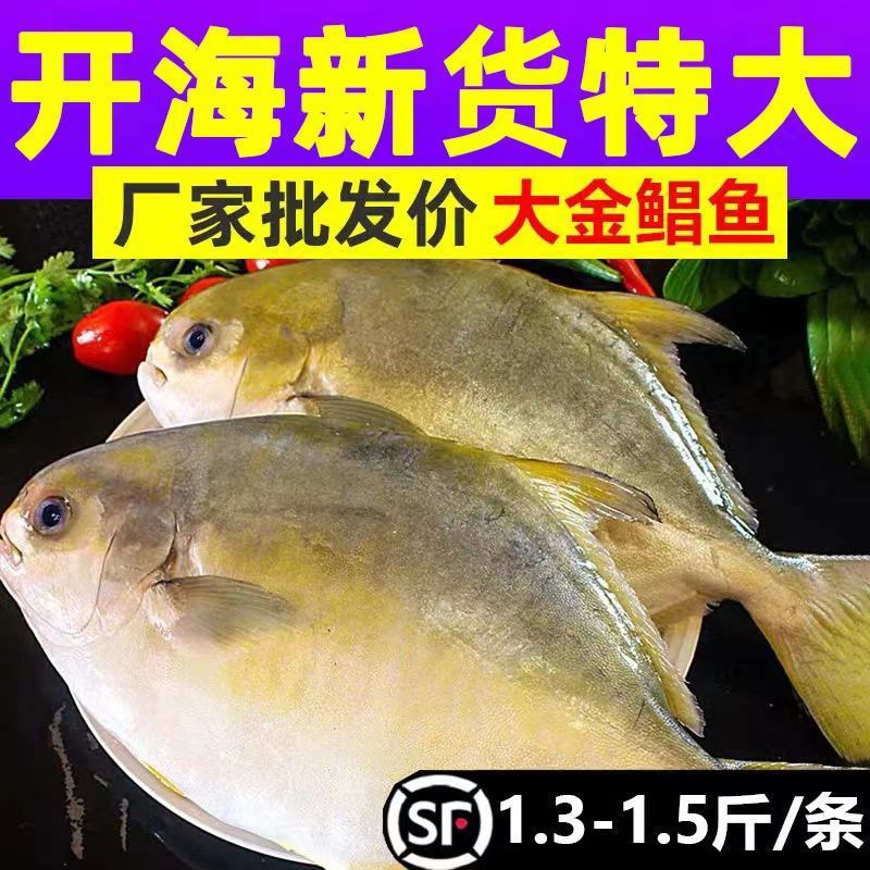 金鲳鱼新鲜镜鱼海鱼鲳鱼金昌鱼平鱼海鲜水产鲜活冷冻顺丰包邮
