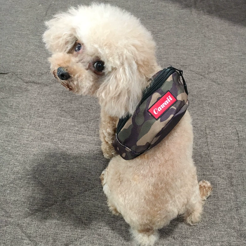 Школьная сумка для собак маленького и среднего размера, автономный рюкзак для собак, сумка для кошек, коррида, Коки Тедди, золотистый ретривер, выходит на улицу, сумка для домашних животных, товары для собак