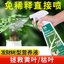 厂家直销一件代发批发花卉绿植盆栽液体肥免稀释发财树专用营养液