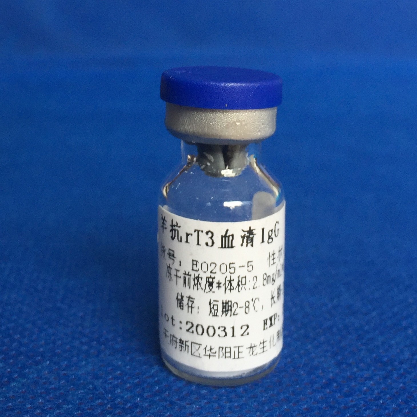 绵羊抗反T3（rT3）抗体