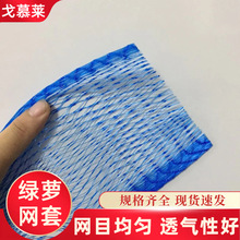 大型植物塑料保护网 花卉绿植收缩蓝色网套 发财树运输发财树网套