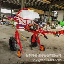 ʽʹșC r׵؇șC rø߉FșC