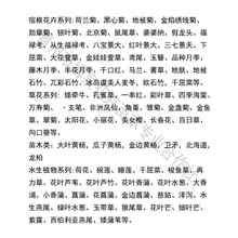 ���l�������S����� �G����ľ�е���G�hֲ�� �ļ����� ���󃞻�