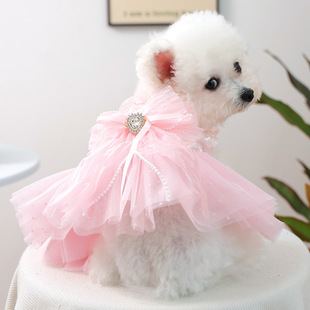 PETCIRCLE�����¿���·�С��Ȯ����̩�����ȹ�������ݻ鼆