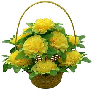 �ɶ�һ��؛Դ���潁�����@���b11���������뽁�������A�����ϻ@��