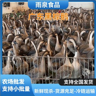 ���ں����Z�F�׬F���F�l���h�����Z�Ƶ��ʽ��͏d���ß��D���Z