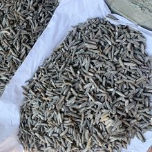 ���l ��������ɺ�����؛�̅����״�ë�̶d��60�^���r��ζ��؛