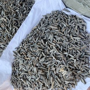 ���l ��������ɺ�����؛�̅����״�ë�̶d��60�^���r��ζ��؛