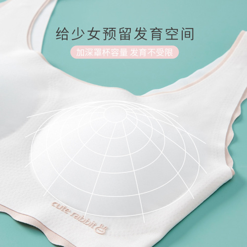 Developmental girls' underwear, seamless tube top, middle and high school students' breast-wrapped, breathable, thin fixed vest girls' bra