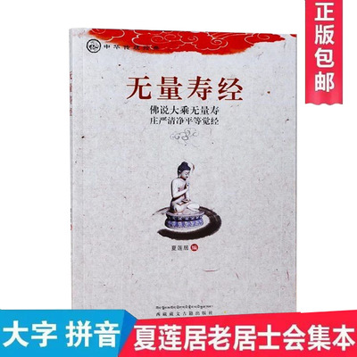 Wuliangshou Jing Jing Da zi Pinyin Horizontal Упрощенная книга чтения пластмассы Ся Лянджу Пять оригинальных переводов.
