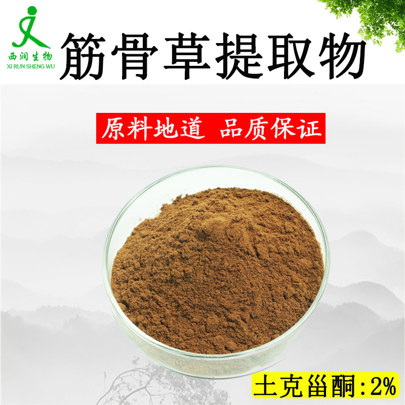 源头工厂 筋骨草提取物 土克甾酮2% 10% 20% 食品级原料 1KG 起订