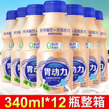 原味胃动力乳酸菌饮品340ml*6瓶12瓶酸奶牛奶益生菌饮料整箱批发