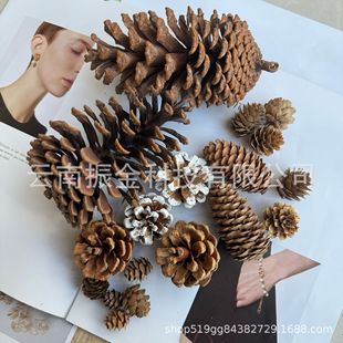 �}�Q�ɹ��������ɼ�~�[�����ɹ����Ӛ��ɻ�DIY�ֹ���ˇƷ������