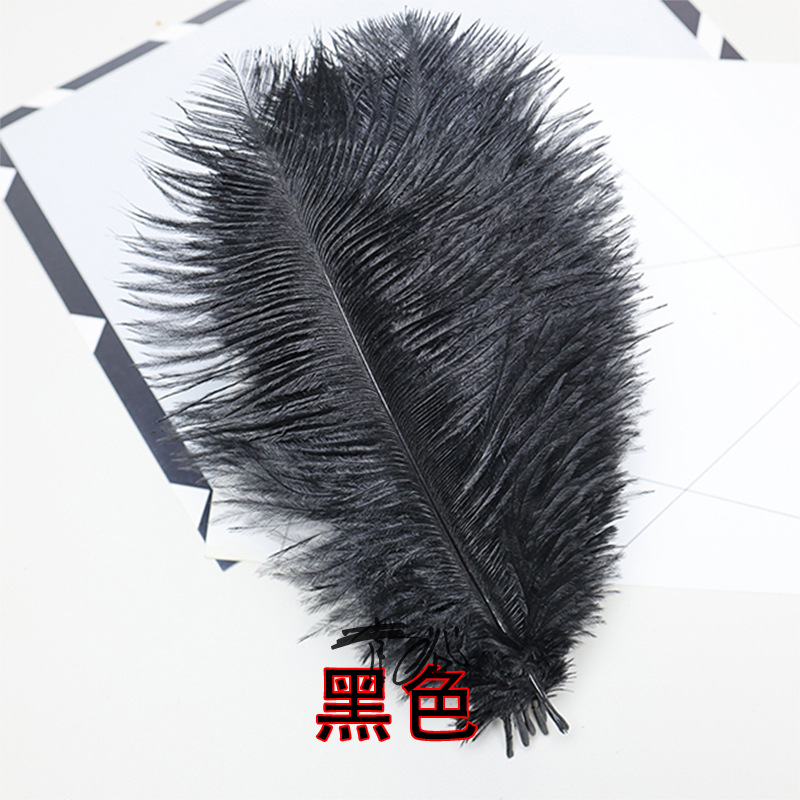Plumas negras al por mayor DIY accesorios de decoración de ropa accesorios escenas de diseño de fábrica de plumas tienda directa