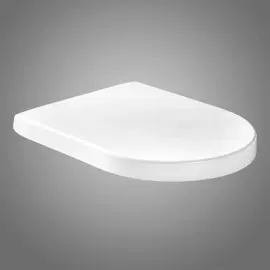 普通马桶盖;果盘、果篮