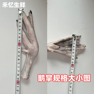 �����Z�Z�����r�r��ɢ�B�Zצ�uζ�Z�_ʳ�����Z�Ƽ��uζ�m�ϼ�����