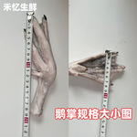 黑棕鹅鹅掌新鲜农家散养鹅爪卤味鹅脚食材生鹅掌家卤味适合家用商