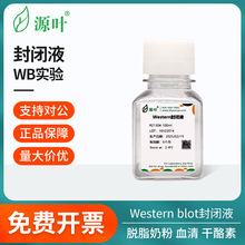 Դ�~���]ҺÓ֬�̷�Ѫ��������~���z����ϩ������ͪWestern���]