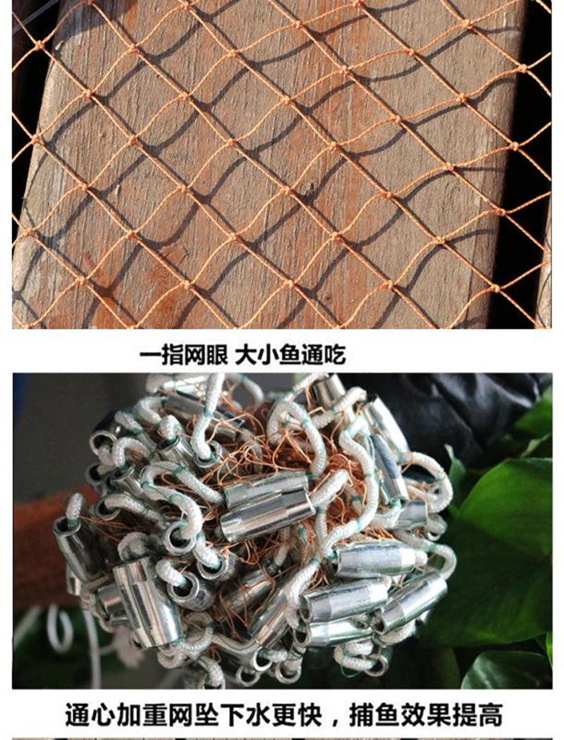 5e16ee33-fa8f-4845-8456-262c002a5ec4.jpg?x-oss-process=image/format,png