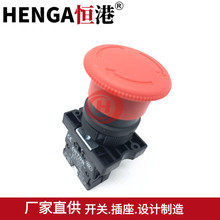 o_P tɫDӏλͣo_P XB2BS542C