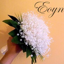 8+3�M�����~�������ﻨ���^��朗ldiy���Ϻ����Y�����ֹ�������Y8