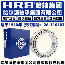 HRB ��������� NN 3021 3022 3024 3026 K/W33 P5 P4  Բ������