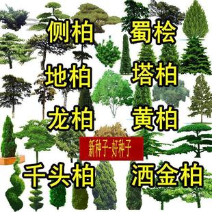 ������ؙu�؂ȰطN����uǧ�^�؞���طN��