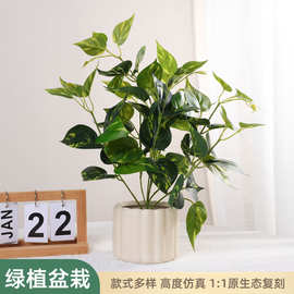 仿真植物绿萝叶盆栽办公室客厅餐桌茶几阳台飘窗造景装饰假草绿植