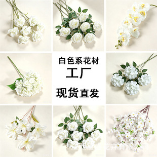 ��ɫϵ���Ļ�c�廨��ˇܛ�b�bҾӔ[���Ĕz����õ�彑����滨