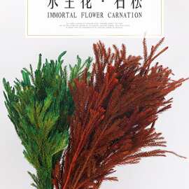 厂家直供云南永生花辅材翠绿色30g石松批发松枝装饰花材配材干花