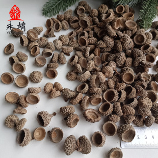 橡子壳 橡帽 橡果 橡碗手工制作 家居装饰装点拍摄-阿里巴巴