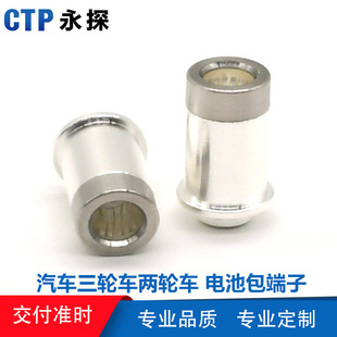The Manufacturer Supports the Customization of Various Types of High-Power Pin Car Tricycle and Two-Wheeler Battery Pack Charging and Discharging Terminals