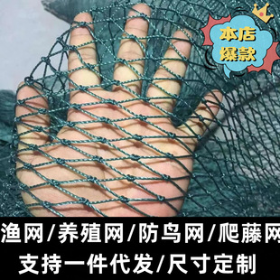 �O�W�Bֳ�W�u�W���~�W��߅�W�o�ھW�����W���B�W��픾W���پW�O�W
