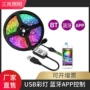 rgbusb低压蓝牙灯带