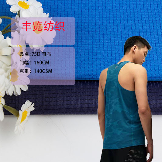 75D Hole Cloth 50D Small Square Adidas Two-Color Double-Layer Mesh Digital Cloth Sportswear T-Shirt Vest Fabric