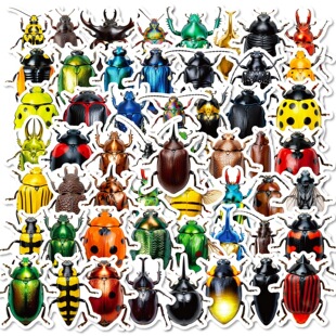 �¿�56��������x�N������x�T�f�N�����~�Pӛ�����Ԅ����b��N
