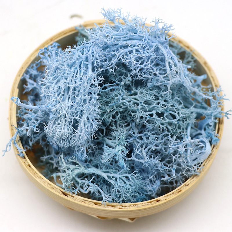 Blue 10G