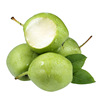 Pear fresh Pears 3/5 pregnant woman fruit fresh Full container One piece On behalf of