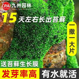 其他园林工具;园艺工具;栽培基质
