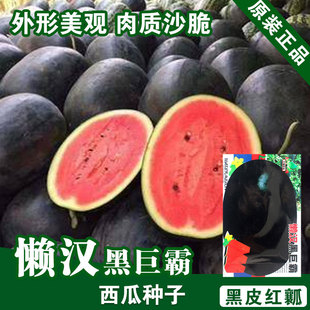 ���ϷN���������߲˷N�����l�˷N���ѷN�ӹ�˾�ļ����N