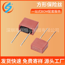 392���α��U�z 250V ���� T500MA/1A/1.5A/2A/2.5A/5A/6.3A 8.5*4