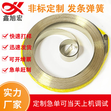 东莞发条弹簧厂 卷簧 电风扇发条 油锯启动发条 家用电器配件