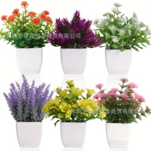 �羳����6����С���ԟ��N�M�Ϸ���ֲ�����Է��滨����Gֲ�b�