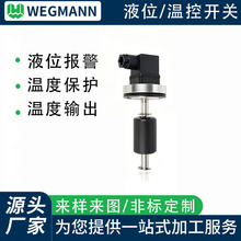 工厂定制液位开关 油位水位控制器 温度保护报警感应耐腐蚀液位计