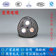 35SҺ|8.7/15KV߉~оzbYJV22 3о300-400ƽ